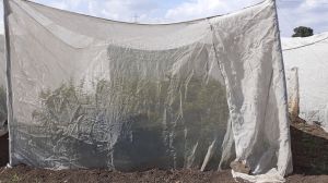 HDPE Monofilament Net Fabric