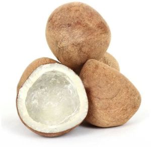 Hard Dried Coconut, Grade Standard : Food Grade for Snacking Or Baking