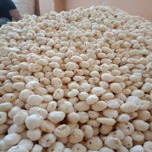 Dried Natural Makhana, Grade Standard : Food Grade