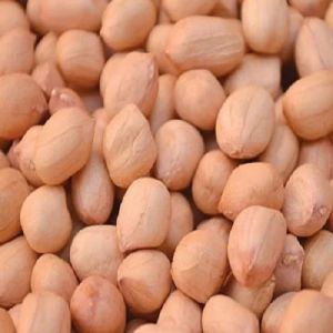 Natural Peanut Kernels, Packaging Type : PP Bags