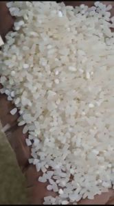 100% Broken Sortex Rice