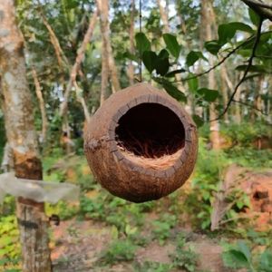 Coconut Shell Bird Nest, Color : Brown