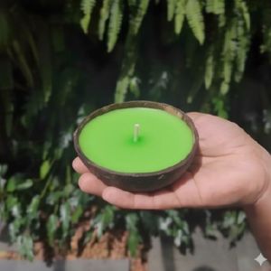 Coconut Shell Green Diya, Brand Name : Cococraze for Decoration Use