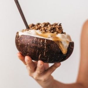 Polished Plain Coconut Shell Ice Cream Cups Standard