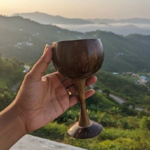Coconut Shell  Glasses