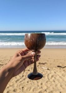 Coconut Shell  Glasses