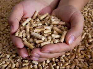 Biomass Wood Pellets 8 -10 %
