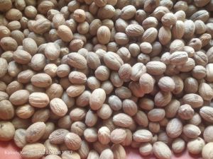 Natural Brown to Dark Brown Nutmeg Jaiphal Food Grade