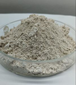 White Clay Powder, Brand Name : Mahesh Minerals Dried