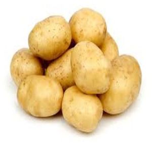Fresh Brown Potato