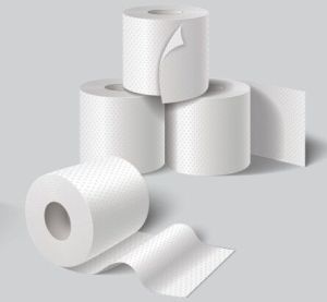 2 Ply Virgin Paper Toilet Roll