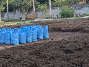 Organic Cowdung Fertilizer, Color : Brown, Standard : Bio Grade