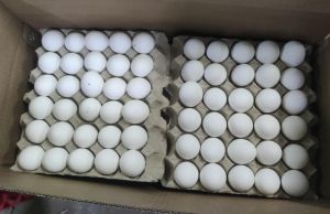 White Eggs, Packaging Type : Carton for Cooking, Baking