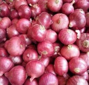 Red Onion, Packaging Size : 50Kg Net Bag