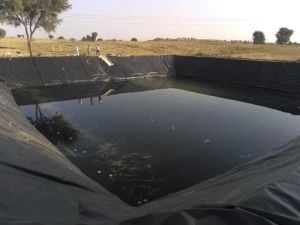 2mm HDPE Pond Liner Sheet 9 Ft X 9 Ft for Water Containment