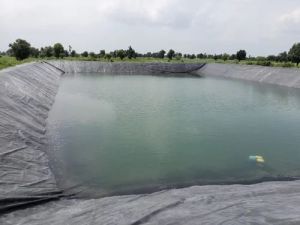 Black HDPE Pond Liner Sheet 6 Ft X 15 Ft