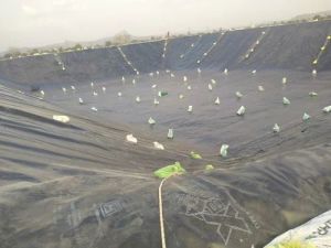 Plain Black HDPE Tarpaulin 40ft X 30ft, Technics : Coating