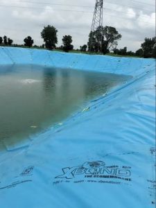 Sky Blue HDPE Pond Liner Sheet 9 Ft X 9 Ft for Water Containment