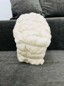 60 NE Cotton Combed Gassed Yarn, Technique : Ring Spun