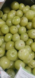 Amla, Packaging Size : 500g, 5kg, 10kg For Juice, Pickles