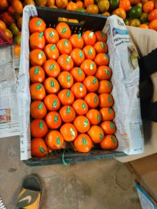 Kinnow Orange, Packaging Size : 20Kg, 25kg, 30kg