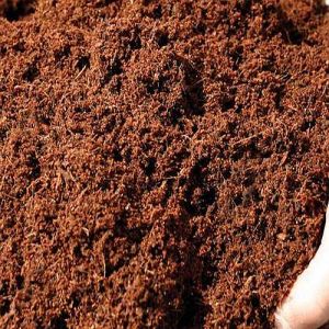 High Nutrient Vermicompost Powder