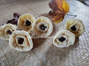 Paper 2 Inch Tapioca Handmade Flower, Color : Off White