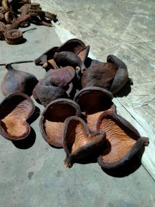 Natural Dried Badam Pods, Color : Brown for Decorative Purpose