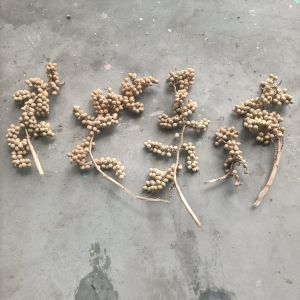 Beige Dried Natural Canella Berry, Packaging Type : Box for Home Decor