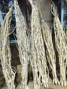 Natural Dried Curly Tree Branch, Color : Beige, Length : 30-40cm