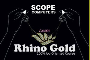 Rhino Gold Computers Training