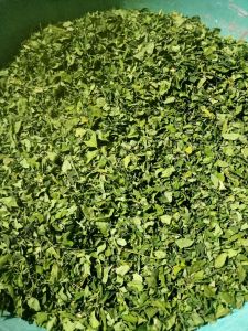 Moringa Leaves, Color : Green
