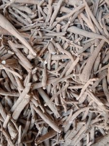 White Shatavari, Purity : 99%, Grade Standard : Medicinal Grade