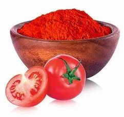 Dehydrated Tomato Powder, Color : Red, Packaging Type : Sealed Bag