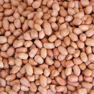 Raw Peanut Kernel, Color : Brown, Packaging Type : Vacuum-sealed Bag