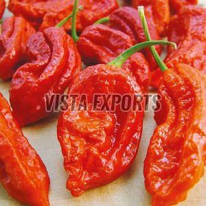 Red Dried Bhut Jolokia Ghost Pepper, Packaging Type : Sealed Bag