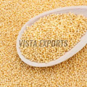 Little Millet Seeds, Color : Creamy White, Packaging Type : Bag