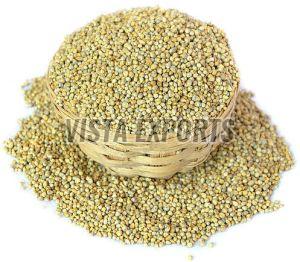 Pearl Millet Seeds, Color : Golden, Packaging Type : Resealable Bag