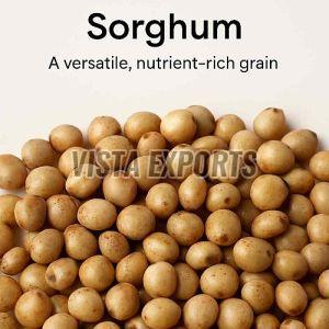Sorghum Millet Seeds, Packaging Type : Bag