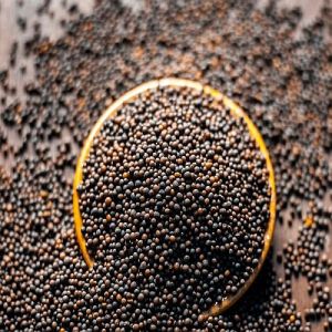 Mustard Seeds