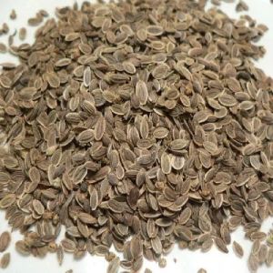 Brown Dill Seeds, Packaging Type : Sealed Packet for Culinary Seasoning