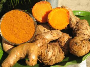 Organic Curcuma Longa, Color : Orange Fresh, Grade : Food Grade