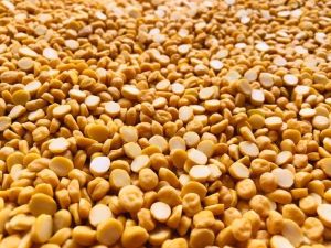 Sortex Quality Chana Dal