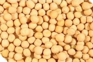 Sortex Quality Yellow Matar