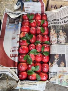 Asra Red Organic Kashmiri American Apple, Packaging Size : 10Kg