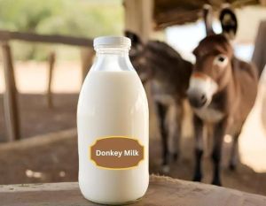 Fresh Donkey Milk