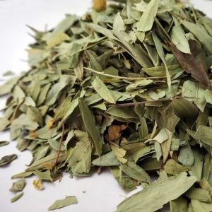 Dry Senna Leaves, Color : Green, Grade : Premium