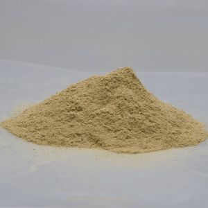 Hadjod Powder