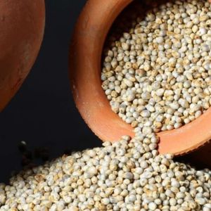 Indian Organic Bajra Pearl Millet