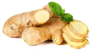 Fresh Ginger, Color : Light Brown, Packaging Type : Bag